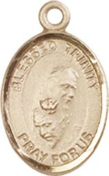 [9249KT] 14kt Gold Blessed Trinity Medal