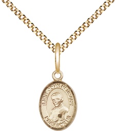 [9204GF/18G] 14kt Gold Filled Saint John Neumann Pendant on a 18 inch Gold Plate Light Curb chain