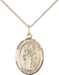 [8124GF/18GF] 14kt Gold Filled Saint Stanislaus Pendant on a 18 inch Gold Filled Light Curb chain