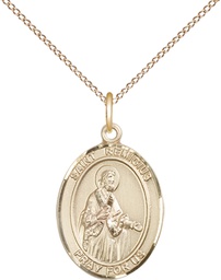 [8274GF/18GF] 14kt Gold Filled Saint Remigius of Reims Pendant on a 18 inch Gold Filled Light Curb chain