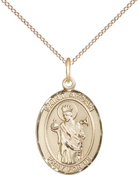 [8293GF/18GF] 14kt Gold Filled Saint Aedan of Ferns Pendant on a 18 inch Gold Filled Light Curb chain