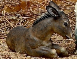 [RO-37520] 27&quot; Scale 20&quot;L Full Color Donkey Fig - Christmas