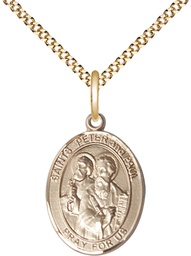 [8410GF/18G] 14kt Gold Filled Saints Peter &amp; Paul Pendant on a 18 inch Gold Plate Light Curb chain
