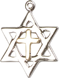 [1209GF/SS] Two-Tone GF/SS Star of David Medal