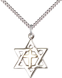 [1209GF/SS/18S] Two-Tone GF/SS Star of David Pendant on a 18 inch Light Rhodium Light Curb chain
